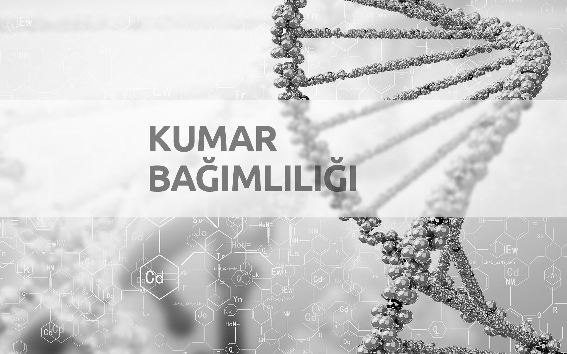 Kumar Bağımlılığı